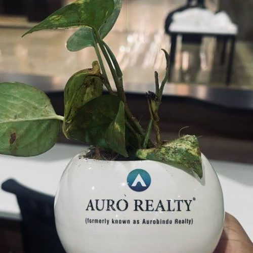Doctor’s meet-Auro Realty (1)