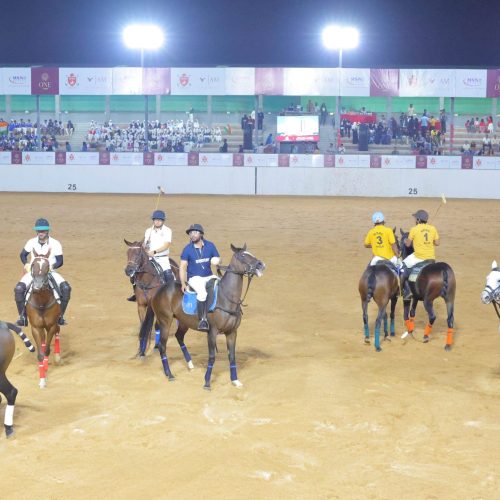 Website-MSN POLO NOV 250A2A8903