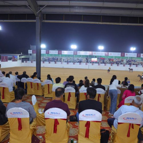 Website MSN POLO Nov-250A2A9031